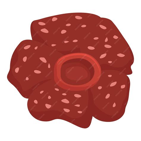 premium vector rafflesia icon cartoon vector tropical floral