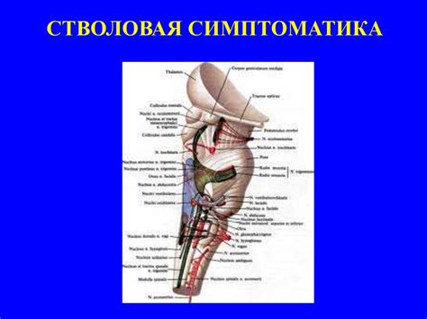 Неврологические синдромы - презентация онлайн