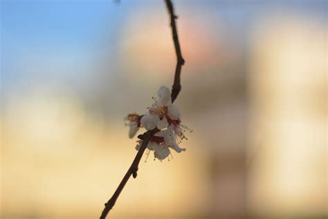 Hf f - Photography