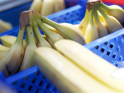 fruit-bananen-markt - Welkom bij Van Gilse