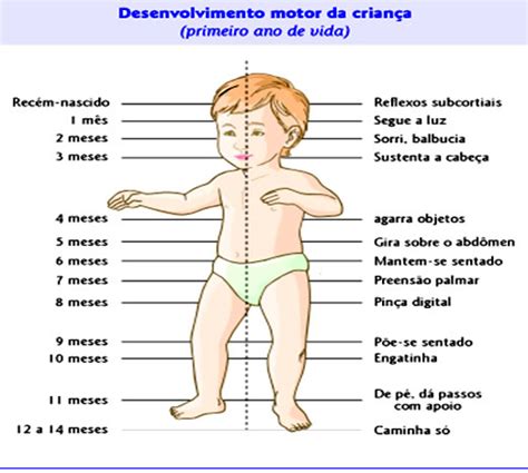Desenvolvimento Do Bebê Prematuro Mês A Mês - Desenvolvimento motor do bebê mês a mês