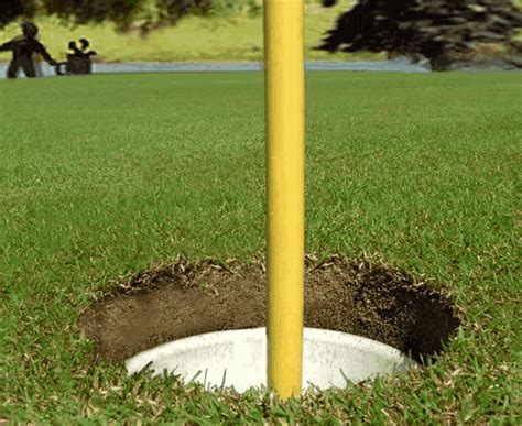 Golf Hole In One GIF - Golf HoleInOne Shoot - Discover & Share GIFs