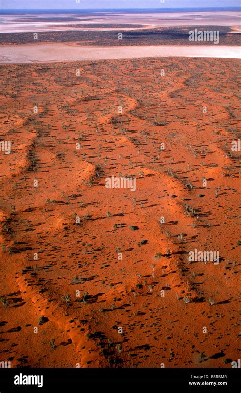 Desert landscape, outback Australia Stock Photo - Alamy