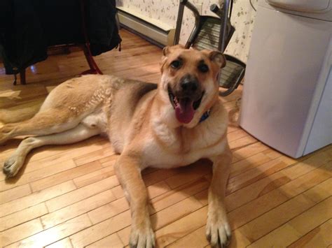 Squix was one quirky dog — Duncan Matheson