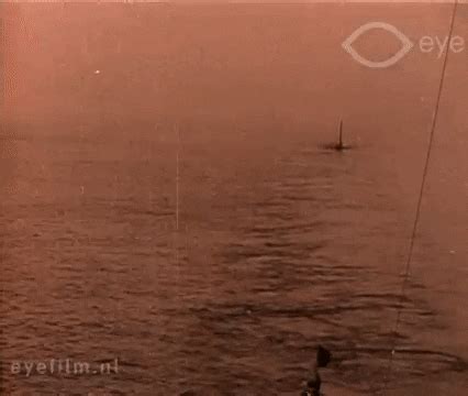 atlantic fleet gifs    gif  giphy