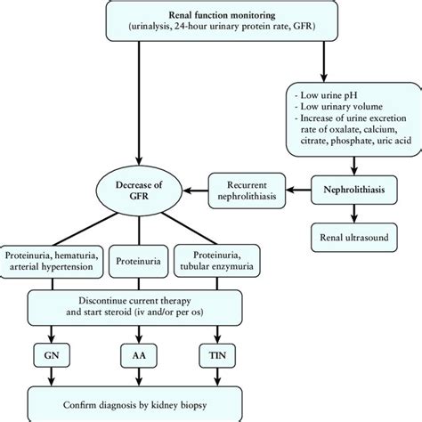 Schematic representation of Oxalobacter formigenes (OF) activity. OF ...