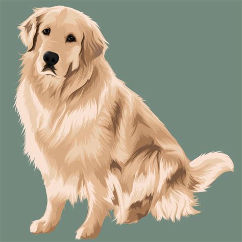 clip art golden retriever 5