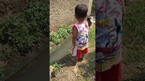 Lutfi - YouTube