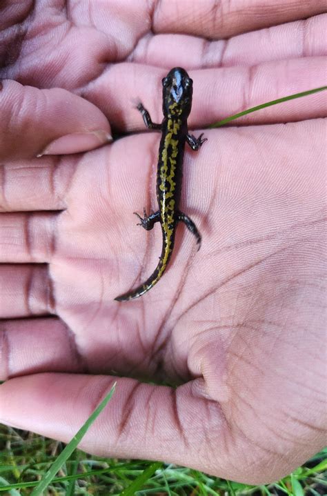 A Surprising Find in Our Yard. — NW Family Daycation