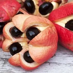 Health Benefits Of Ackee Fruit | Healthreee
