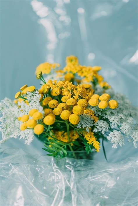 Naked+White+Girls Photos, Download The BEST Free Naked+White+Girls