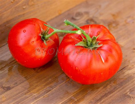 БАБУШКИНО — BTomate