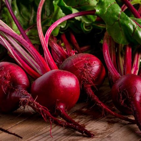 detroit dark red beet seeds honest seed