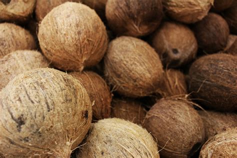 how to know if a coconut is good
