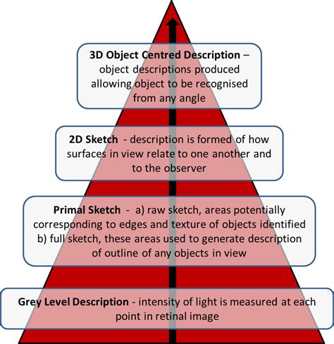 types  visual perception visual perception theory  psychology dxcf