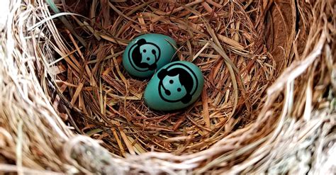 myth   cost  nesting   wage  hours