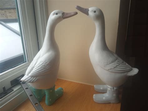 I found this in the house we were renting this week : duck