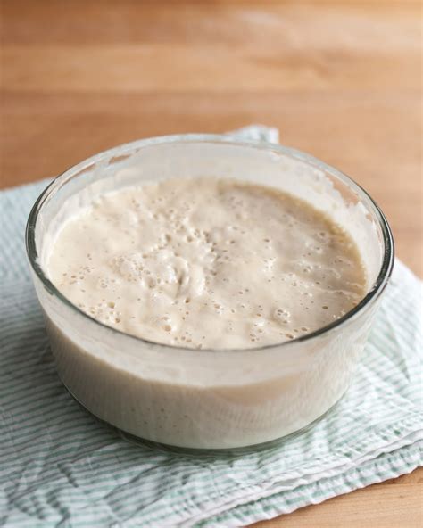 how to make a sourdough starter from scratch 10