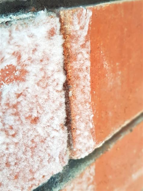 Desalination of Masonry - Let's Clean, Sydney Heritage Conservation