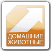 ТВ России - смотреть онлайн российские каналы бесплатно
