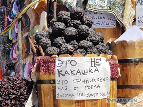 Чай в Египте: это не какашки верблюда | Юмор | Заварка по-киевски