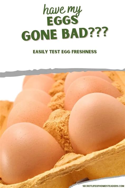 how to know if an egg has gone bad