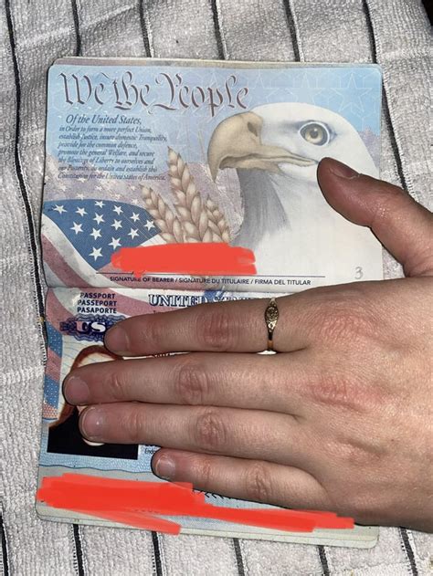 Help! Dog chewed passport! : r/Passports