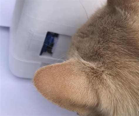 cat feeder  steps  pictures instructables