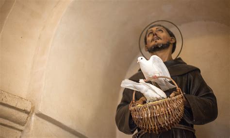 Contact us - Franciscan Friars