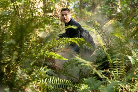 Discover Nesty TV: Movies, Shows, And More - Truth or Fiction