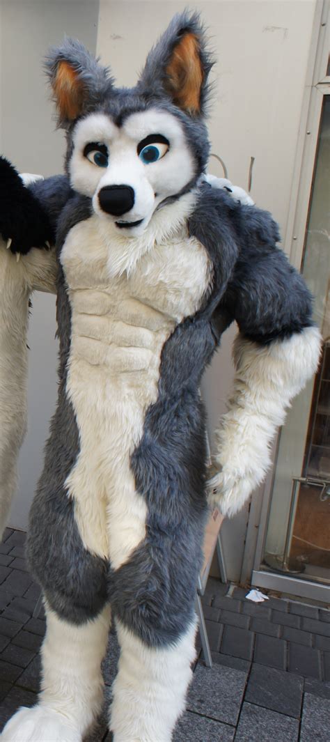 The Fursuit Database