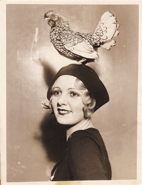 27 Fantastic Vintage Photos of Birds - Flashbak