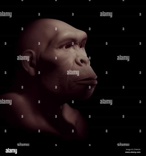 Homo Sapiens Prehistoric Stock Photos & Homo Sapiens Prehistoric Stock ...