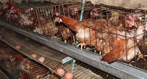 ШУВУУНЫ АЖ АХУЙ ЭРХЛЭГЧДИЙН ХОЛБООНООС МЭДЭГДЭЛ ГАРГАЛАА