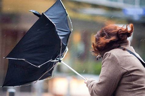 Wie entsteht ein Sturm? - Erklär's mir - Badische Zeitung