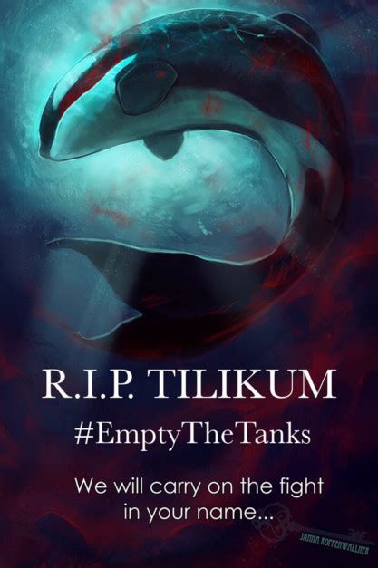 Death of Tilikum raises concerns about animals in captivity | Op-eds ...