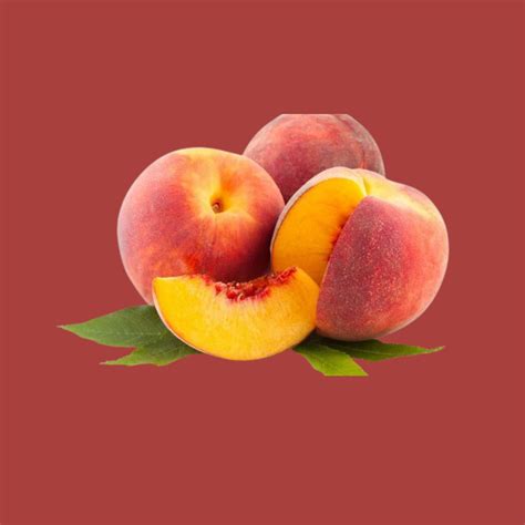 LOG AMERICA - Exotic Fruits