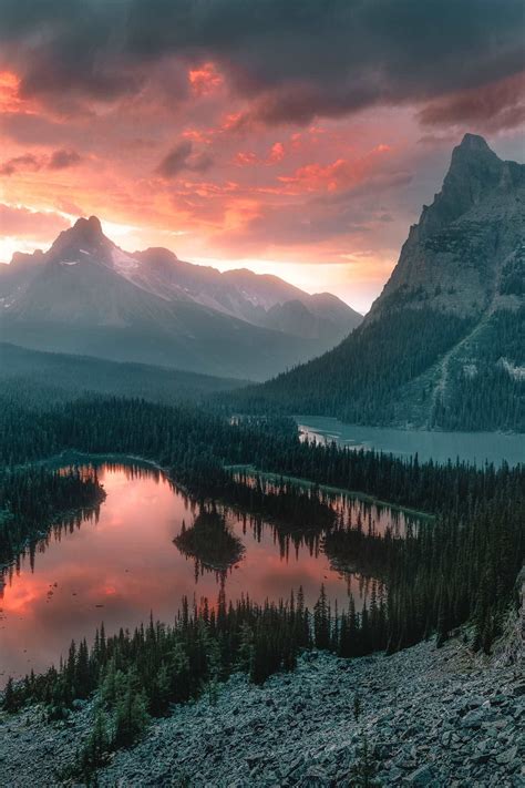 17 best things to do in alberta canada – Artofit