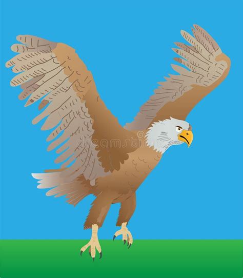 Bald Eagle Landing Stock Illustrations – 440 Bald Eagle Landing Stock ...