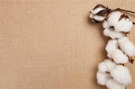 kain cotton combed   guna