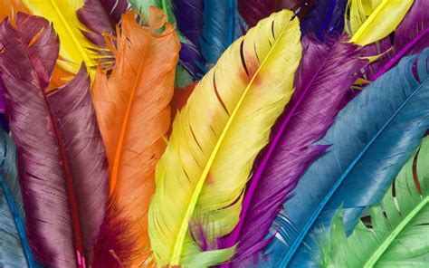 Great Wallpapers: Colorful