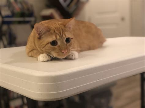 Is Nala Fitness Hiding Something? The Leak Reveals ALL. Image 2