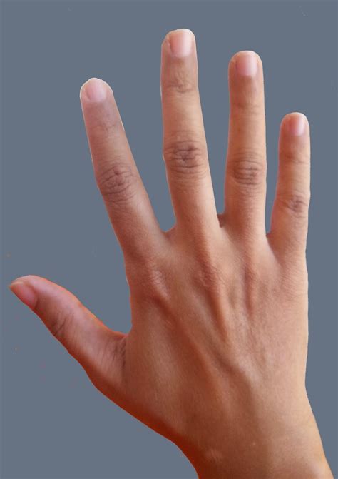 hand readings  famous people photograph samples