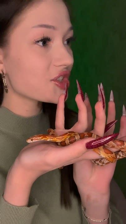Моя «ящерица» ️ #recommended #змея #shorts #snake #makeup #макияж # ...