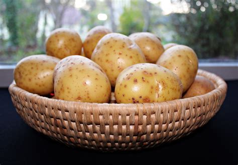 картинки : фрукты, Пища, производить, картошка, Клубни, картофель ...