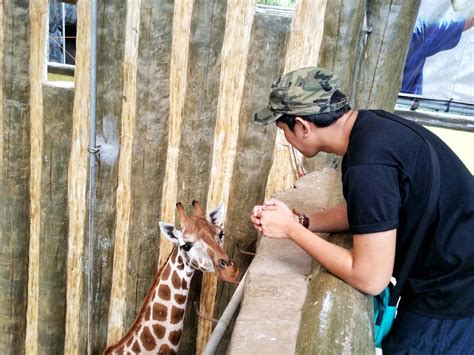 Avilon Zoo: A Awesome Weekend at a zoo in Montalban, Rizal - Wander B