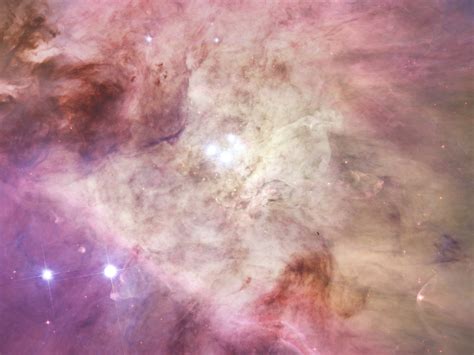 Orion Nebula's Biggest Stars Free Stock Photo - Public Domain Pictures