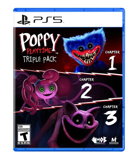 Amazon.com: Poppy Playtime Triple Pack PS5 : Maximum Gaming: Todo lo demás