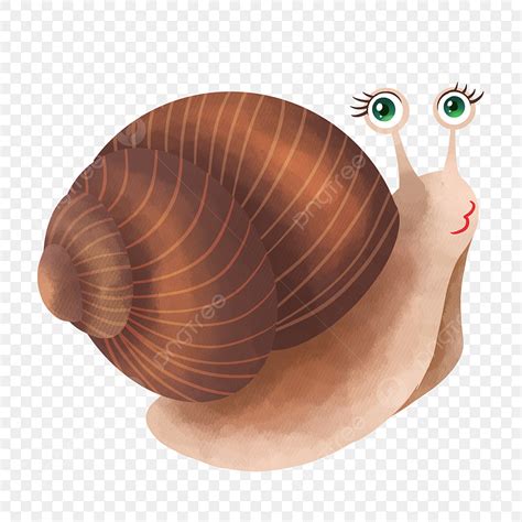 gambar siput vektor png vektor psd   muat turun percuma