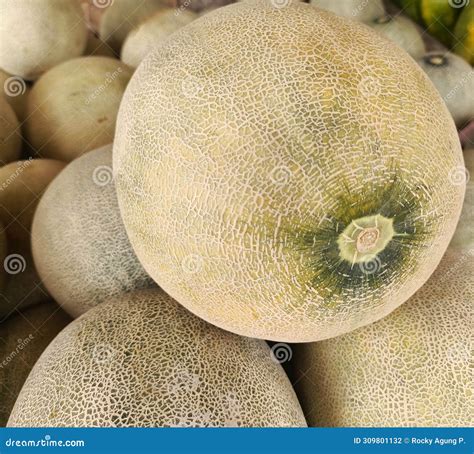 Photo of a Pile of Large, Fresh Melons that are Ripe, the Inside is
